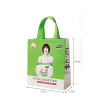 Non- Woven Bags Green